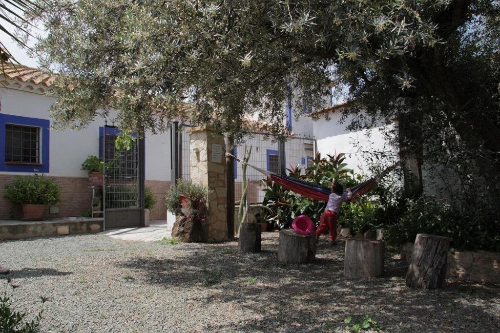 Casa Rural La Noria La Escucha Buitenkant foto